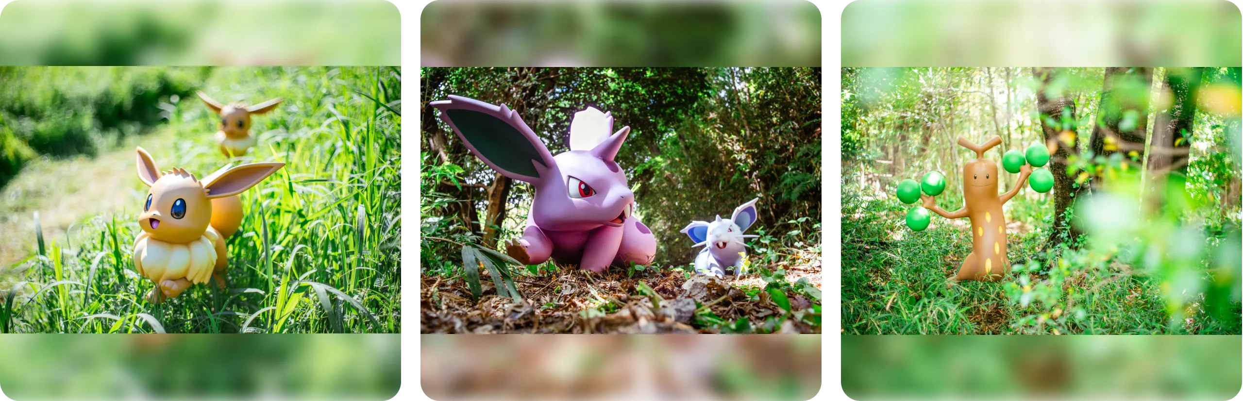 たくさんのポケモンたちが暮らす自然豊かな「森」